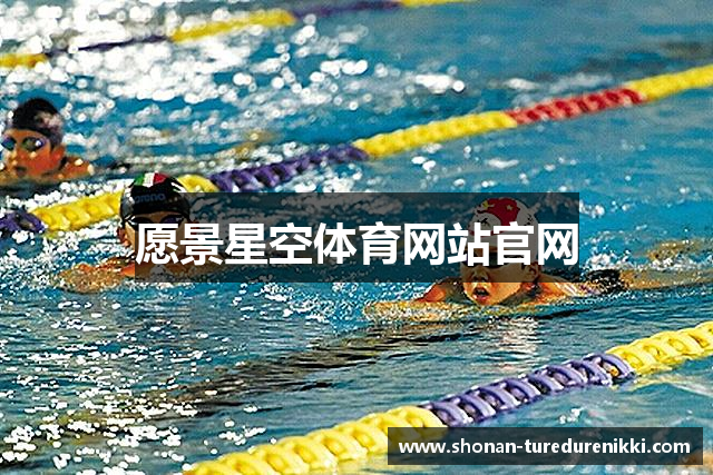 愿景星空体育网站官网